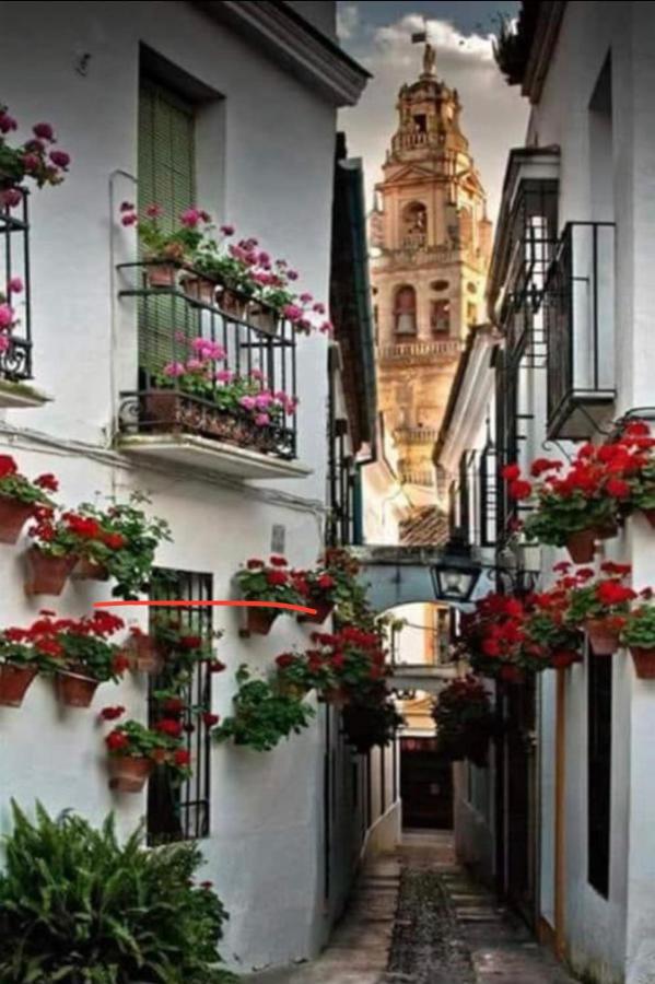 Casa Isa Lägenhet Córdoba Exteriör bild